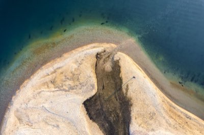 Pesca Exitosa: Domina los 4 Pilares para tu Primera Captura