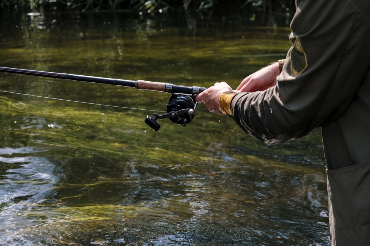 palo de pesca y caña de pesca