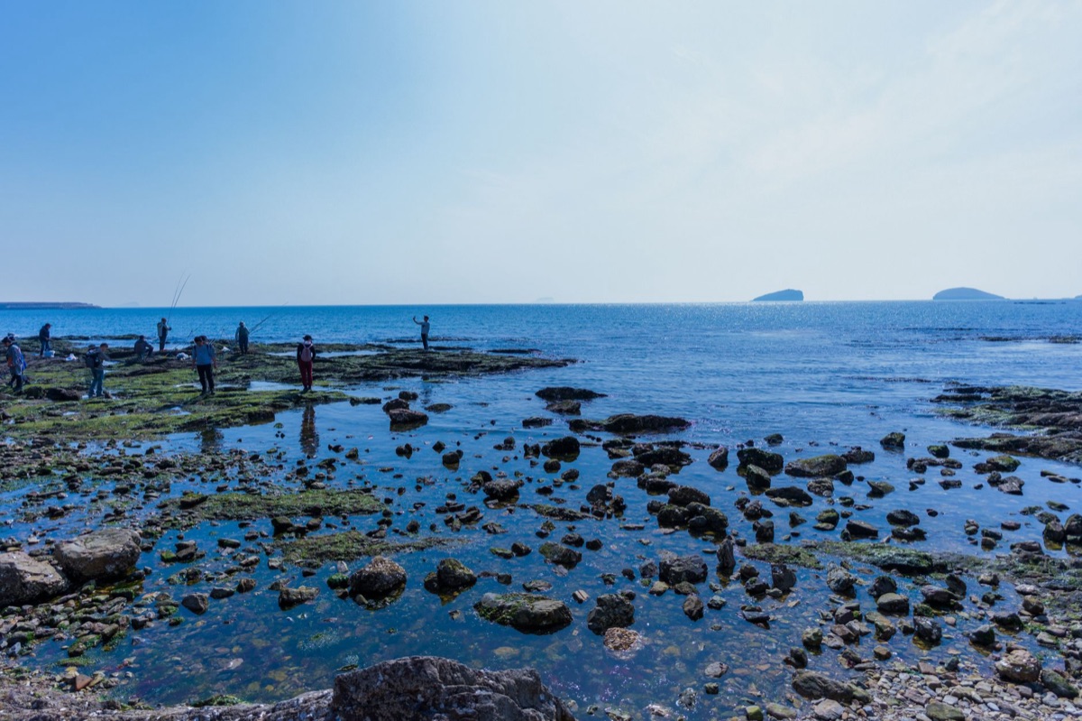 Pesca: 4 Pilastri per il Primo Cattura di Successo