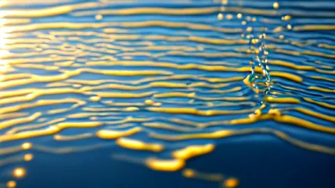 Guida alla pesca: 4 strumenti essenziali per principianti