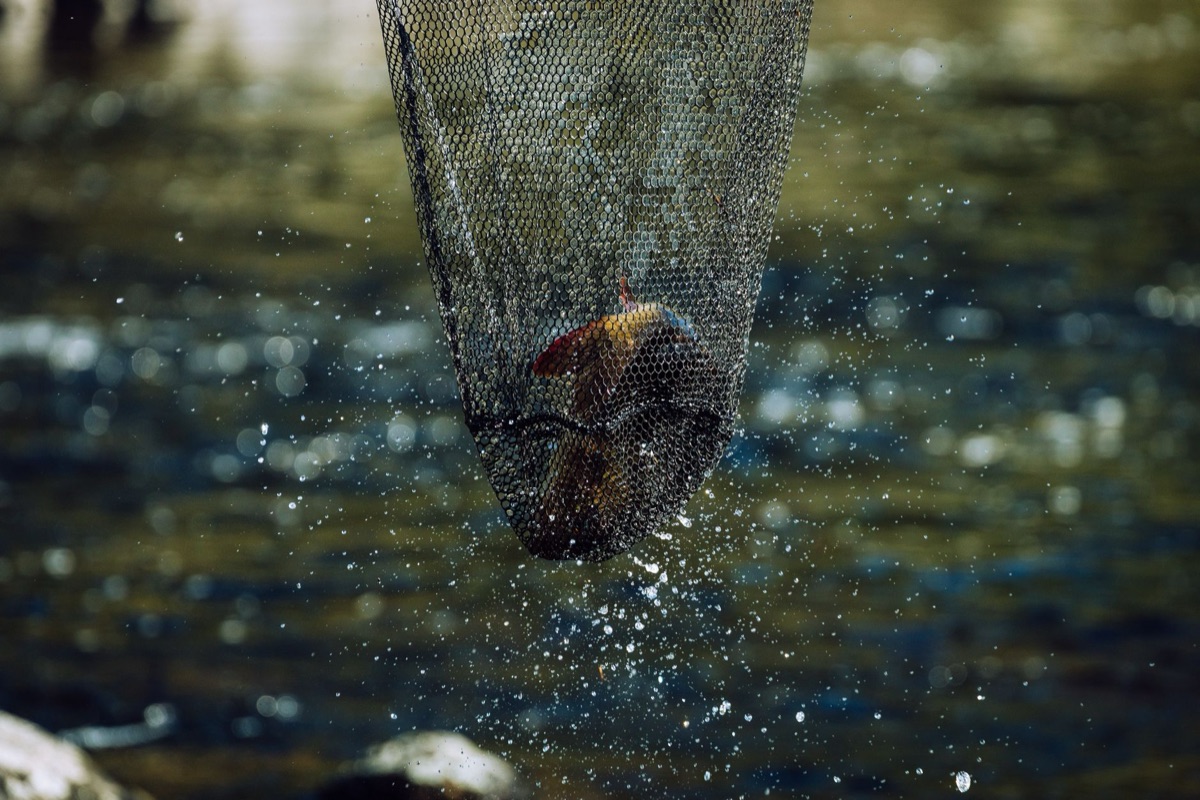 Comment analyser les caractéristiques de la marée pour choisir un bon point de pêche