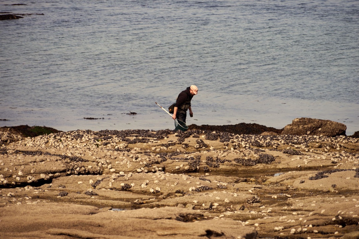 Comment comprendre les variations de la marée pour planifier une pêche réussie