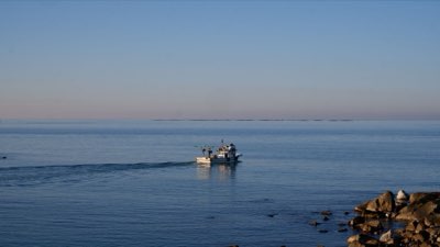 Pesca Eficaz: Entenda Como as Marés Ditam Onde Há Peixe