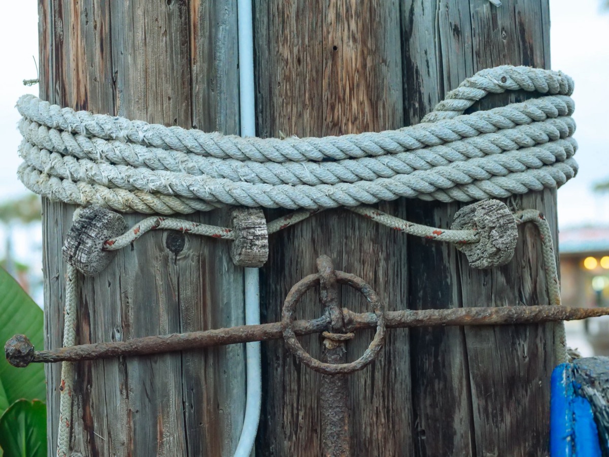 Fishing line knot im Wald