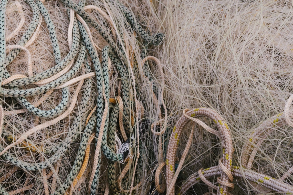 anglais : une ligne de pêche nouée