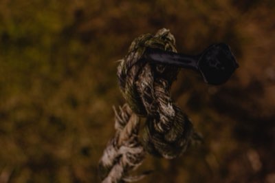 Nodi da Pesca: 5 Tecniche Essenziali per Principianti