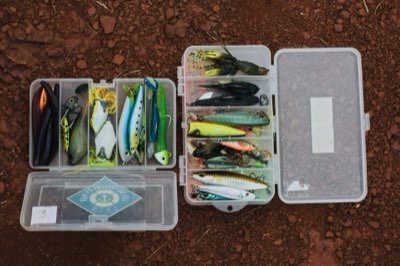 Nós de Pesca: Domine 5 Técnicas Essenciais para Iniciantes