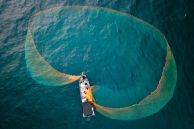 Pêche Côtière : Stratégies pour Attraper les Poissons Cibles
