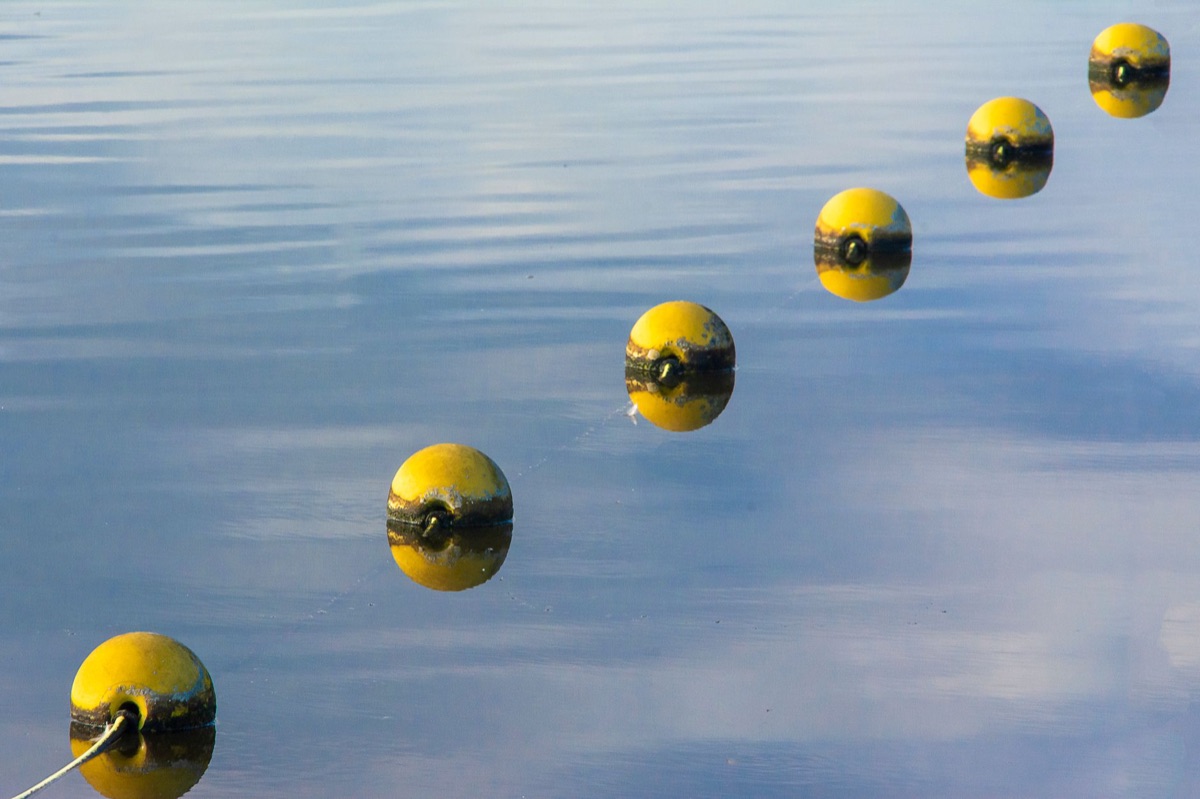 Un galleggiante da pesca che fluttua sulla superficie calma di un lago