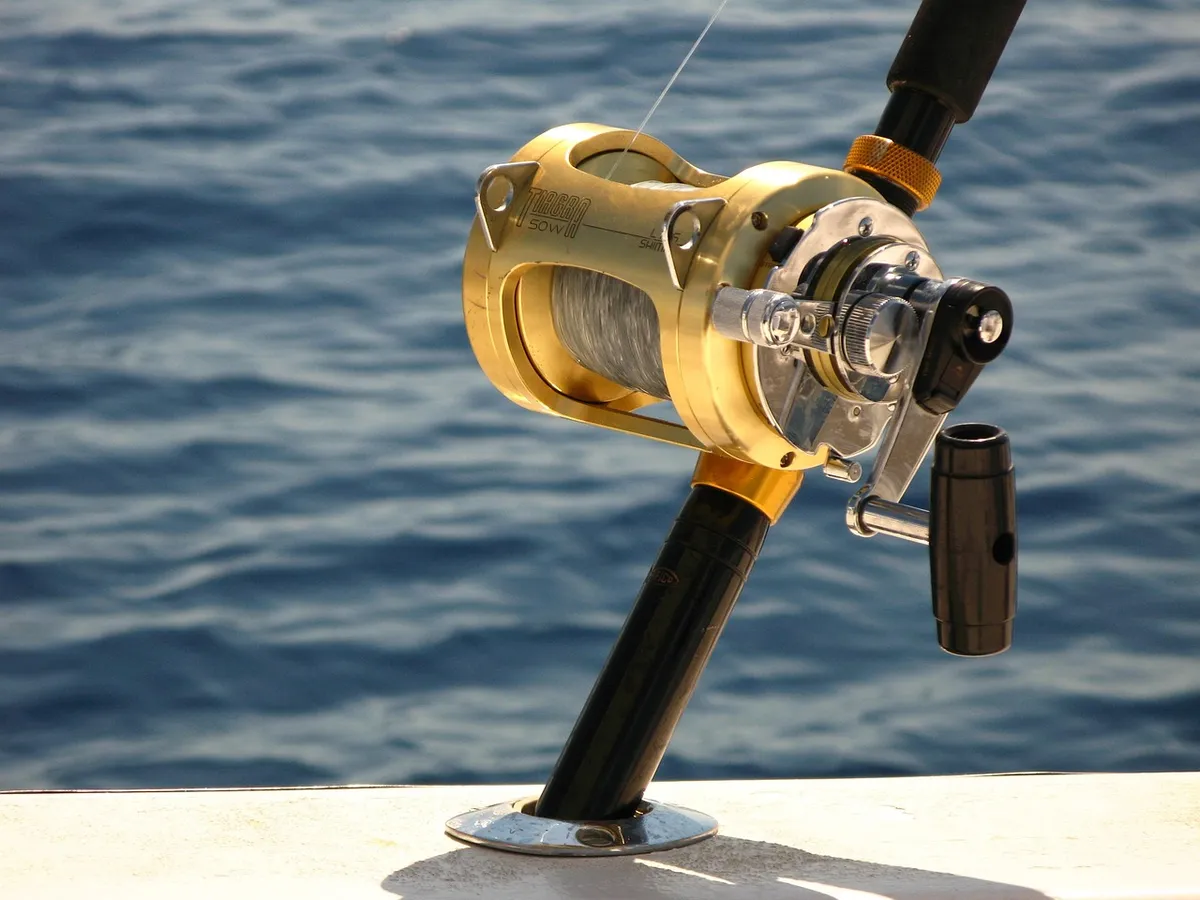 deep sea fishing, penn reel, nature, ocean, fishing, blue fish, blue fishing