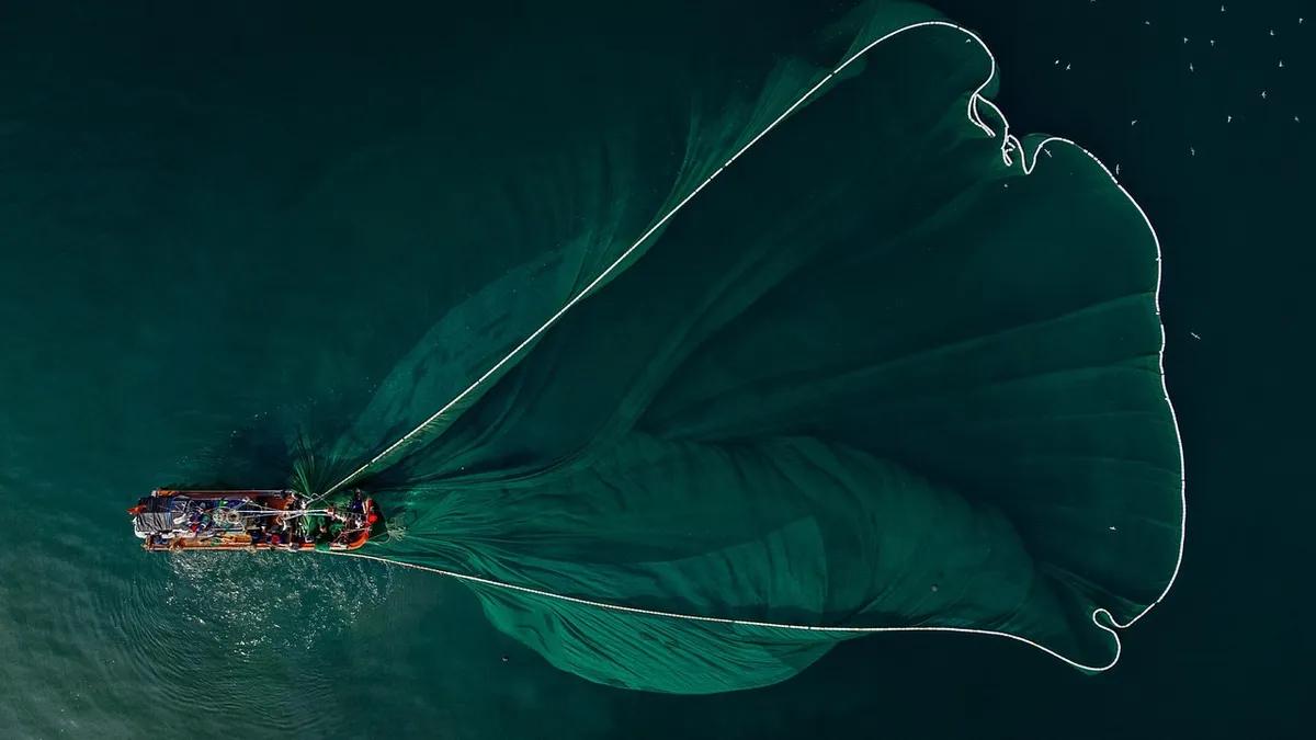船、 fishing boat、海、偉大、廣闊、藍色、清晨、魚、自然、釣魚、出色、天空視圖、空中攝影、越南風景