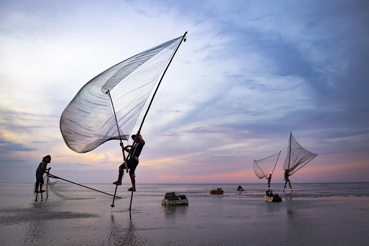 sea, fishing, man, sunrise, ocean, sunset, beach, water, travel, sun, landscape, morning, summer, reflection, nature, vietnam, clouds, seascape, horizon, scallo
