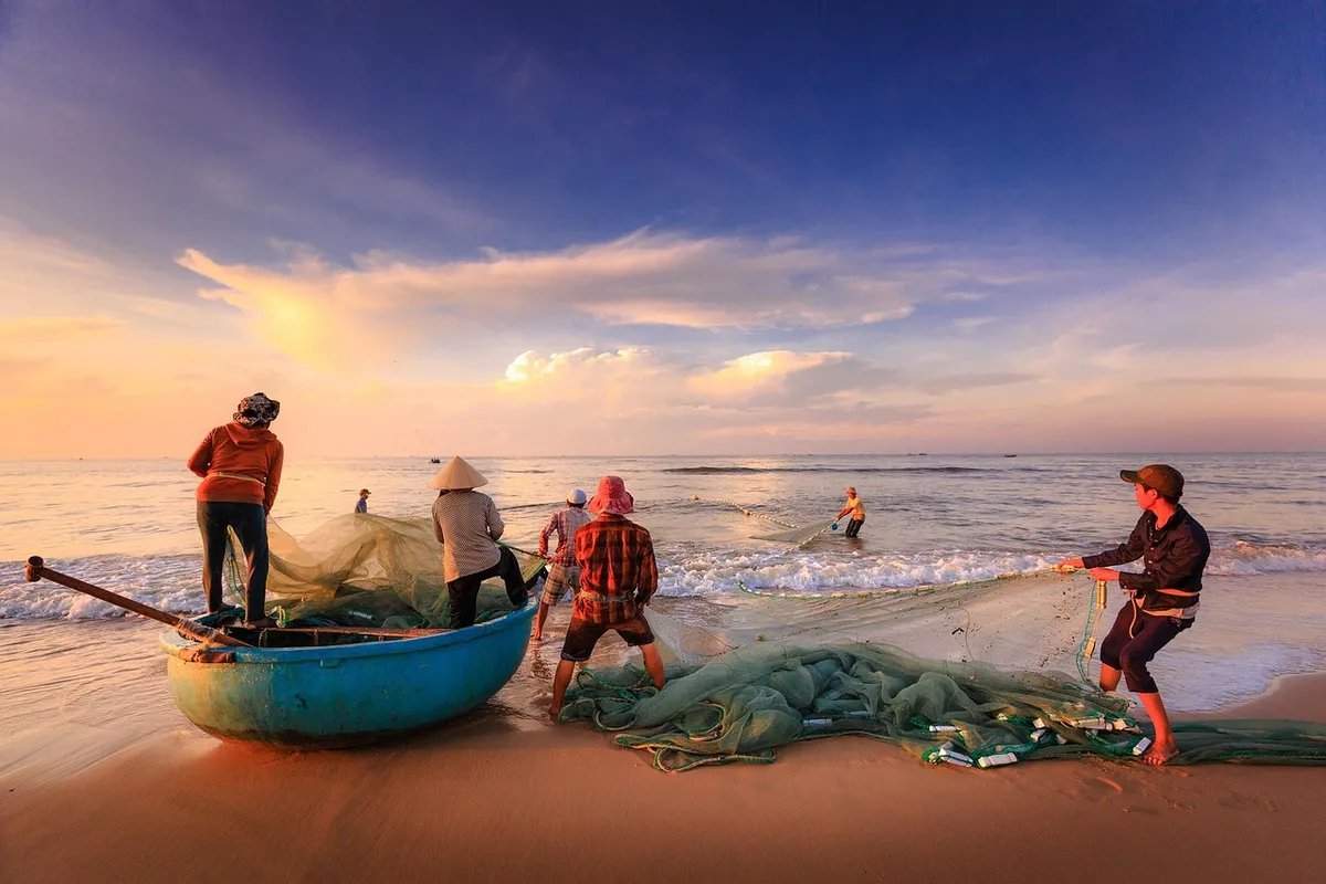 fishermen, beach, boat, fishing, sea, asia, vietnam, fishing net, dawn, nature, sunset, fishing boat, shore, seashore