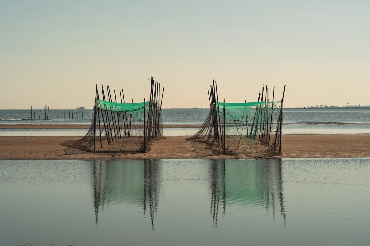 Scenic view of traditional fishing nets on a serene Tokyo beach reflecting the rising sun.