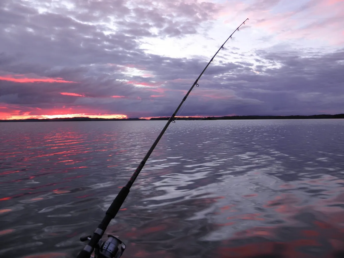 trolling, fishing, sunset, holiday, savonlinna, saimaa, finland, summer, nature, sky, sun, scenic, twilight, beautiful, lake, water, trolling, trolling, trollin