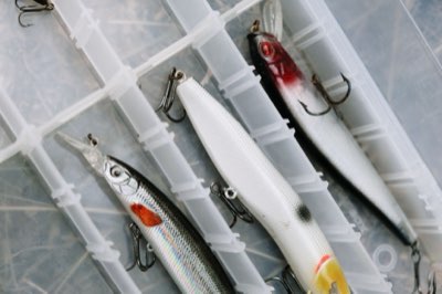 Target Species Guide: Matching Gear to Predators and Feeders