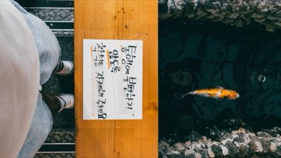 어종별 낚시 공략법 완벽 가이드: 초보자도 성공하는 핵심 전략