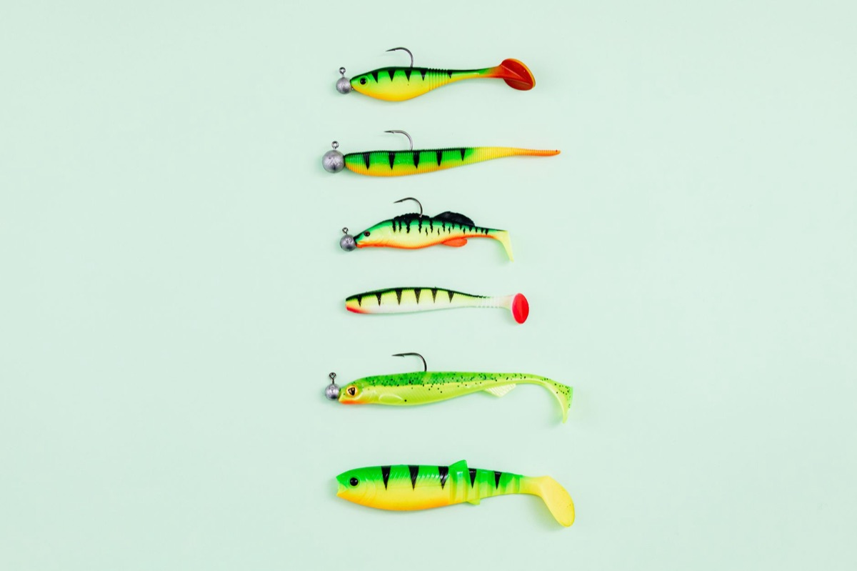 魚種食性解析：新手如何精準鎖定目標魚群的釣法？完整指南